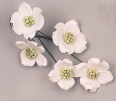 Dogwood+blossom
