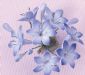 Gumpaste Hand Made Agapanthus Blue Single   6 Per Package