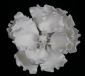 Gumpaste Hand Made Peony   1 Per Package