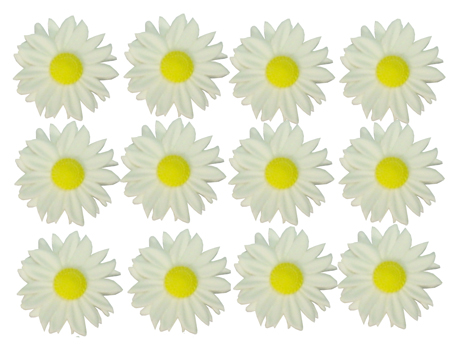 Gumpaste Hand Made Daisies   12 Per Package