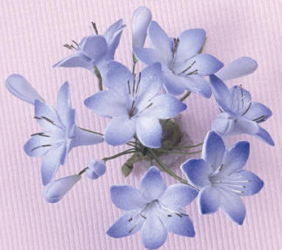 Gumpaste Hand Made Agapanthus Blue Single   6 Per Package