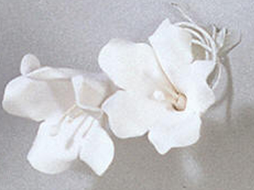 Gumpaste Hand Made Individual Bell Flowers   12 Per Package