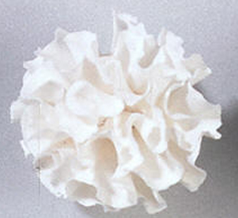 Gumpaste Hand Made Carnation   8 Per Package