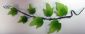 Gumpaste Ivy Vine