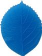 Lg. Rose Leaf Veining Kit With Press Back Silicone Veiner