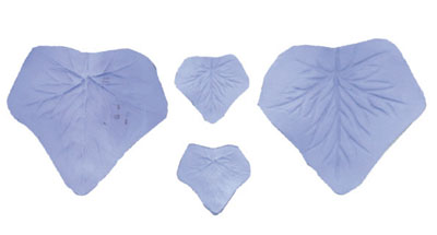 Silicone Ivy Leaf Veiner Set