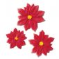 Poinsettia Sugar Decorations