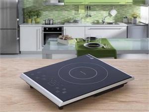 Fagor Portable Induction Cooktop