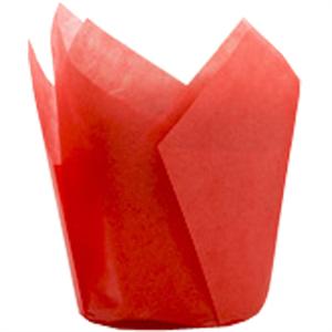 Red Tulip Baking Cups
