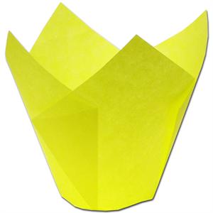 Yellow Tulip Baking Cups