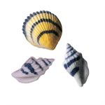 Sea Shells Sugar Decorations