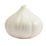 Garlic Saver