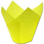 Yellow Tulip Baking Cups